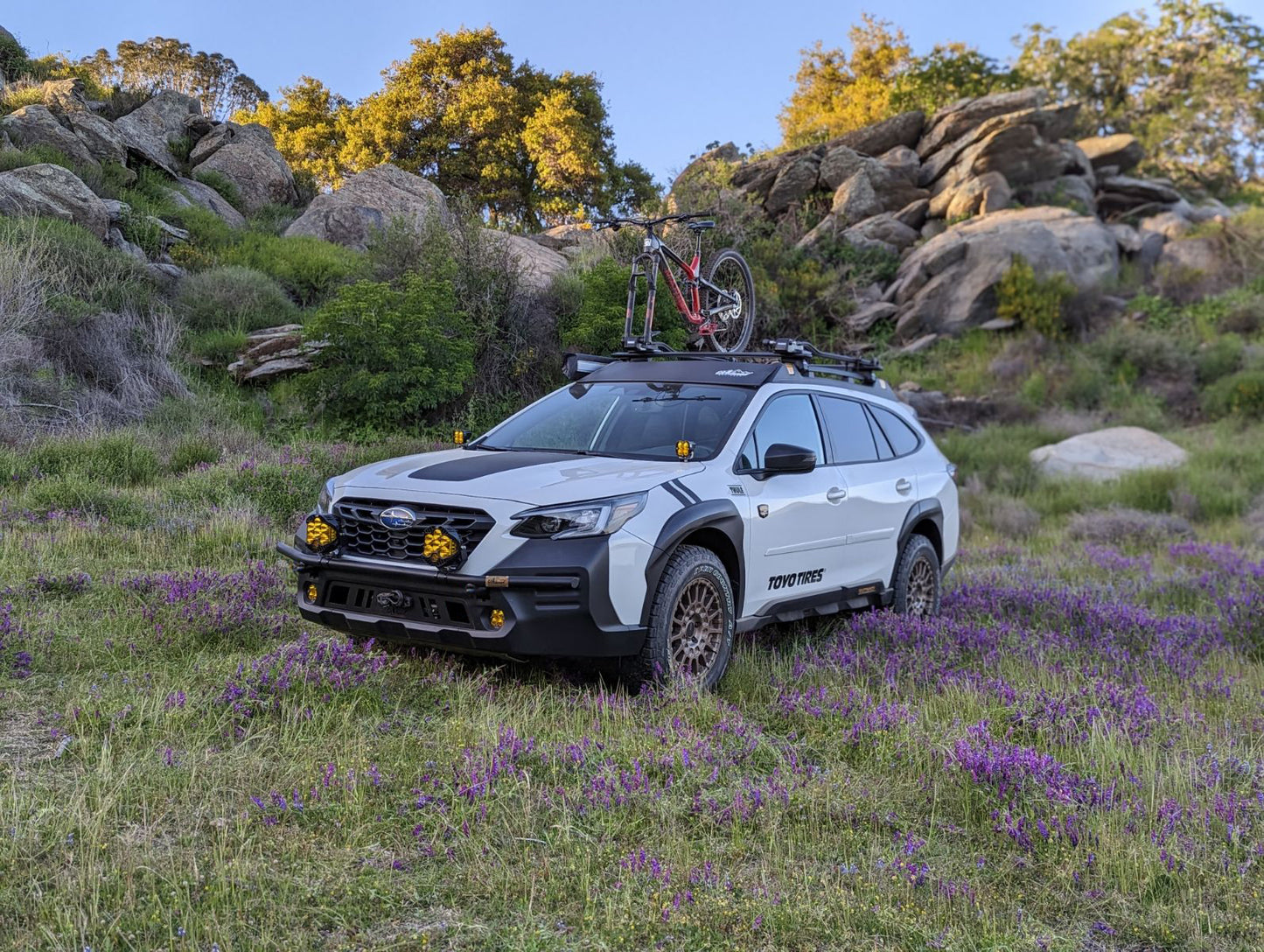 CAtuned Off-Road Subaru Wilderness Brush Bar